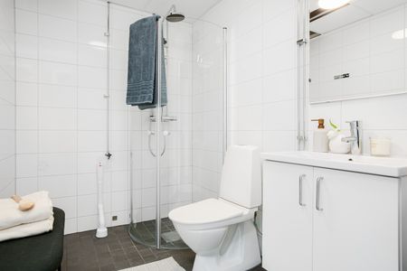 Anna Koskulls Gata 1G - Photo 2