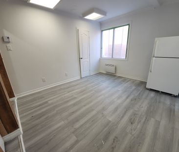 10580 Boulevard Saint-Laurent, #206 - Photo 2