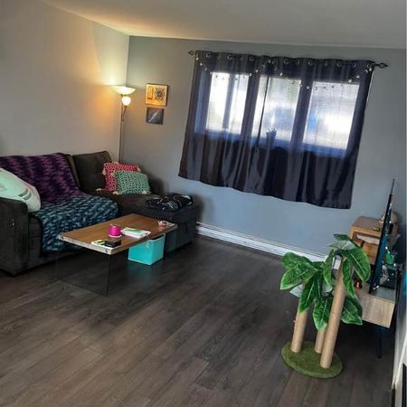 Magnifique 4 ½ à Louer à Saint-Émile (Québec) , - Dispo 1er février - Photo 4