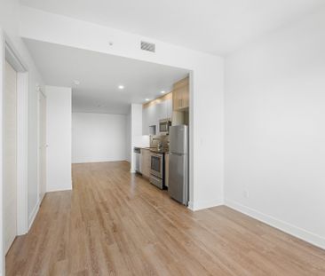 Condo for rent, Montréal (Le Plateau-Mont-Royal) - Photo 4