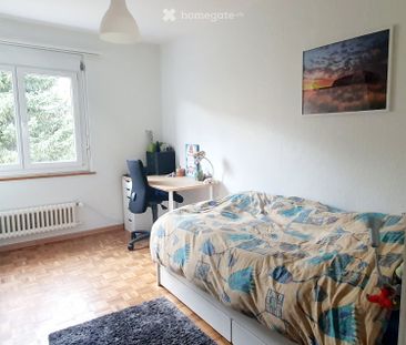 Appartement 3,5 pièces à louer dès le 1er décembre - Photo 3