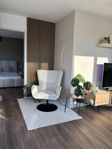 APPARTEMENT 21/2 PIÈCES À PRATTELN (BL), MEUBLÉ, TEMPORAIRE - Foto 3