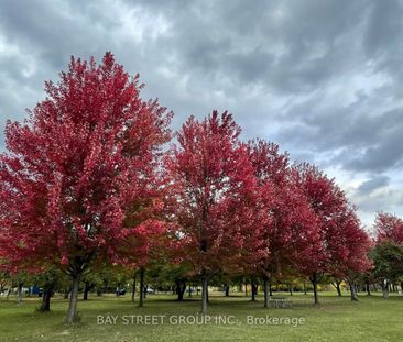 For Lease - 3 Coverdale Crescent Unit# - Bsmt, Toronto, Ontario - Photo 4