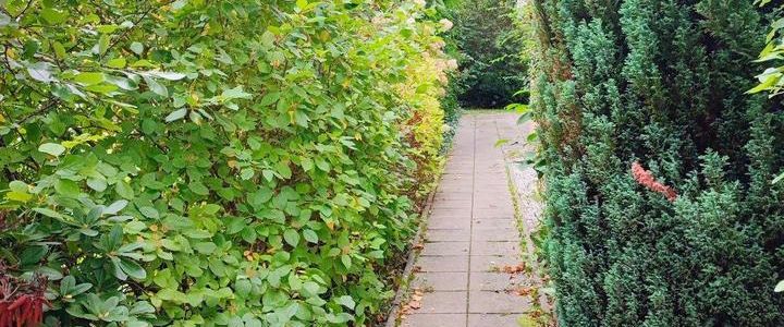 ++ helle, wunderschöne 2-Raum-Wohnung mit Balkon & Einbauküche in Chemnitz - 70 m², 2. Etage ++ - Photo 1