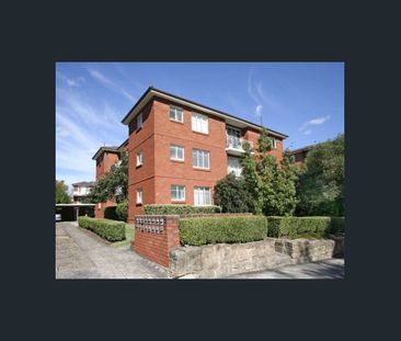 Bright & Sunny One-Bedroom Security Apartment with Brand New Bathroom - Photo 4