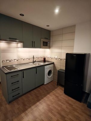 Estudio de alquiler en Manantiales - Estación de Autobuses - Photo 1