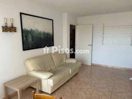 Piso en alquiler en Paseo Marítimo Rey de España, cerca de Calle Moncayo - Foto 2