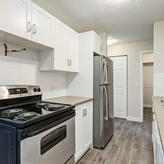 Renovated Suite - 2 Bedroom - Photo 1