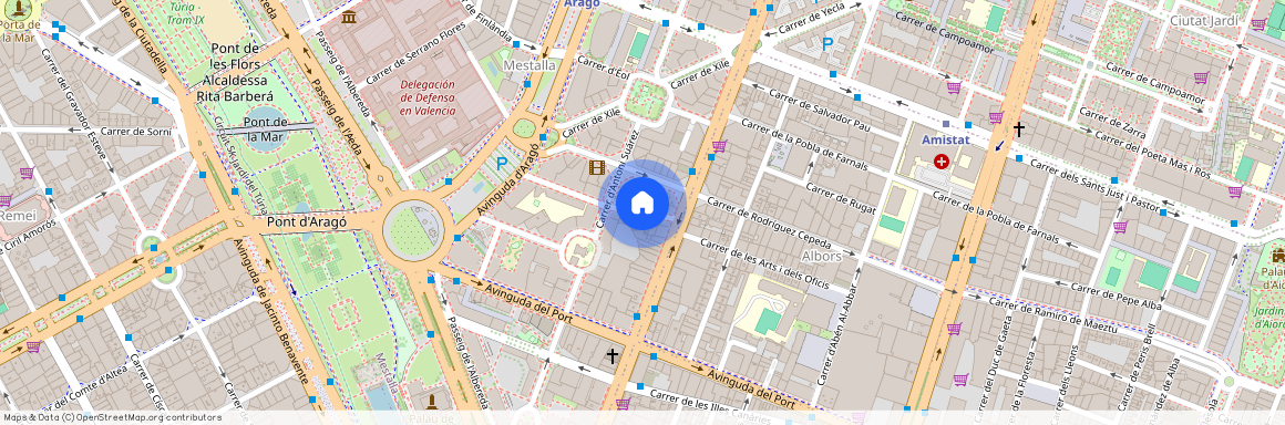 Carrer del Doctor Ferran, Valencia, Valencian Community 46021