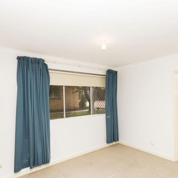 26/41 David Street, O'Connor ACT 2602 - Apartment For Rent | Domain - Photo 1