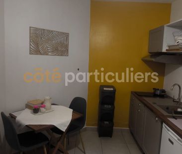 Location Appartement 1 pièce 24m² - Photo 3