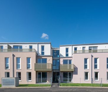 HOLLABRUNN XXVI/1 - Foto 2