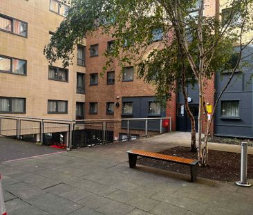 Classic Studio - Photo 3