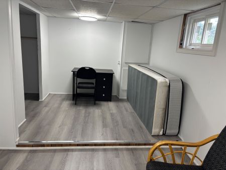 For Lease - 94 Taunton Road Unit# Bsmt, Oshawa, Ontario - Photo 4