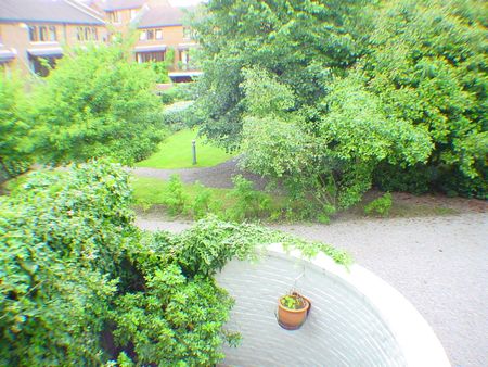 6 Bed Terraced House, Bagleys Lane, SW6 - Photo 5