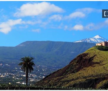 santa_cruz_de_tenerife, Canary Islands 38400 - Photo 3