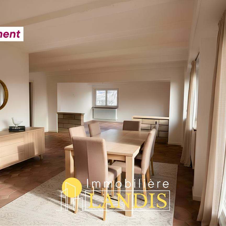 Location Appartement 6 pièces 159m² SELESTAT 67600 - Photo 1