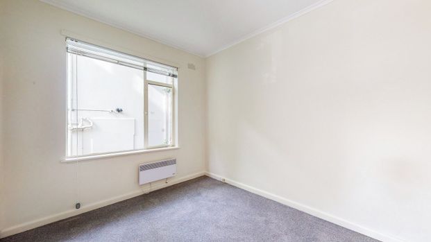 Sunny and spacious - Photo 1