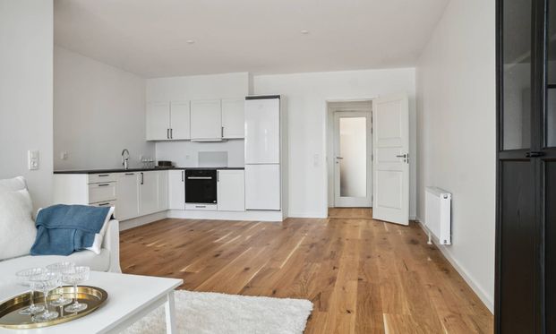 Om lejligheden - Photo 1