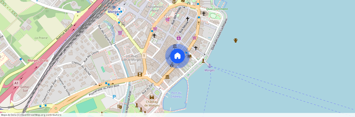 Rue Louis-de-Savoie 60, 1110 Morges