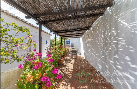 TH2023438 - Beautiful Algarve style house - Photo 5