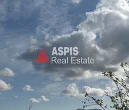 Μονοκατοικία για ενοικίαση - Ανάβυσσος - Photo 6