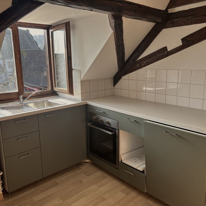 Location Appartement 4 pièces 59m² ANDLAU 67140 - Photo 1