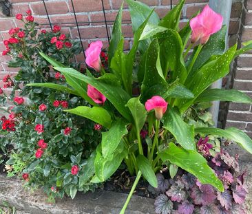 Huis te huur: Monnickenmeer 5 1141 PB Monnickendam - Foto 1