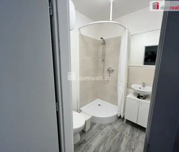 Pronájem bytu 1+kk, 18 m - Fotografie 6