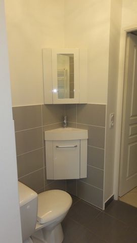 Location Appartement 2 pièces 40m² DOMENE 38420 - Photo 4