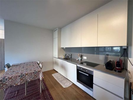 Rif. 2348 Lugano 2.5 locali per affitti brevi - Photo 3