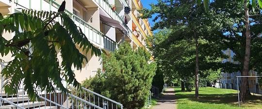 2 Warmmieten sparen - rein in die gemütliche Wohnung!* - Photo 1