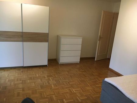 Simon #3 - Experience 60's Charm in Zürich's Green Oasis - Foto 4