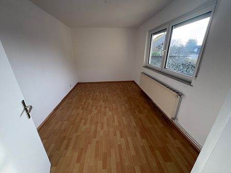 DG. Studio - Photo 4