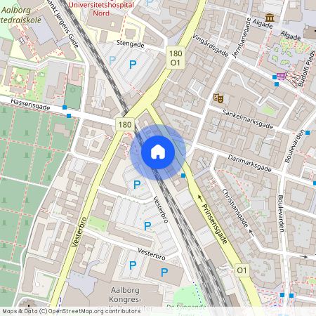 Prinsensgade 37, 2. tv. 9000 Aalborg