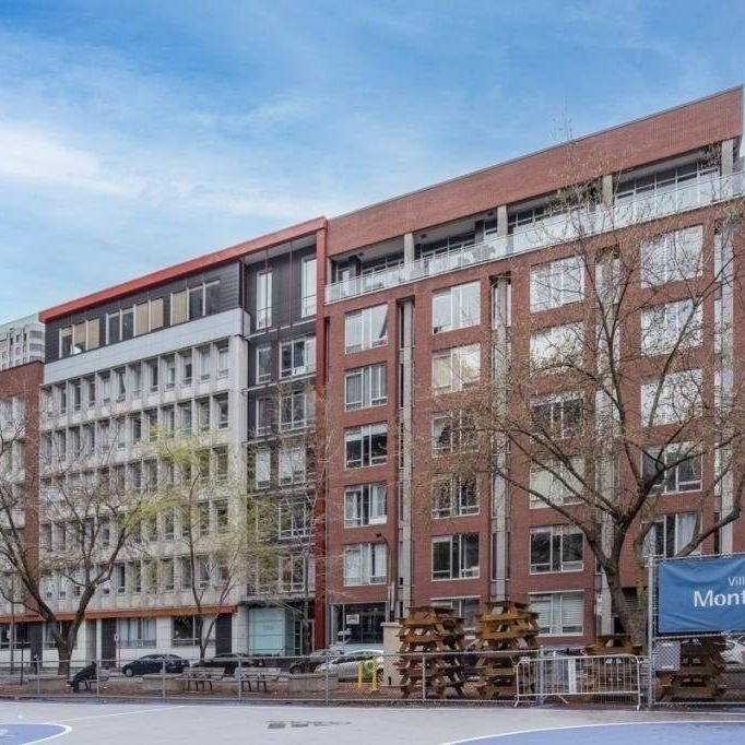 Appartement à louer - Montréal (Ville-Marie) (Centre) - Photo 1