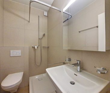 Joli appartement de 1 pièce au rez, 33m2 - Photo 4