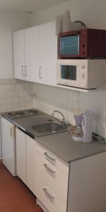 Location Appartement 1 pièce 24m² - Photo 3