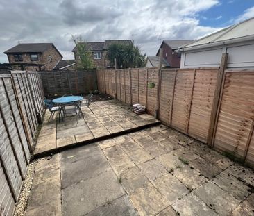 Orchid Close - Photo 3