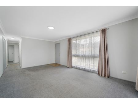 20 Jamison Street - Photo 5