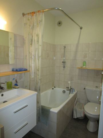 Location Appartement 1 pièce 28m² - Photo 4