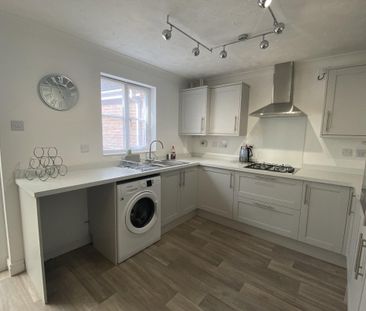 Tortoiseshell Way - Photo 3
