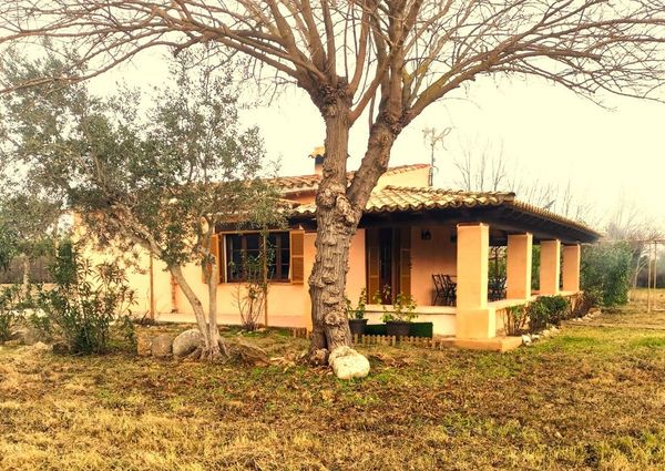 Diseminado Poligono 3, 490A, 07470, Illes Balears, Spain, Pollença, Balearic Islands 07460