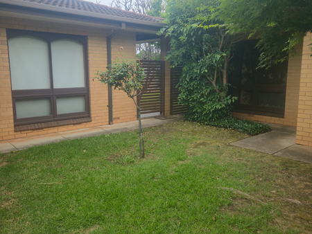 Magill, SA - Photo 2