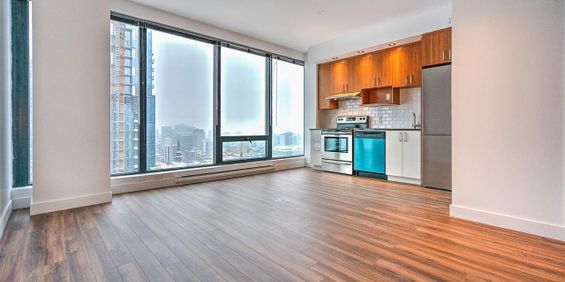 1 chambre - 1380 René-Lévesque Ouest, Montréal - Photo 3
