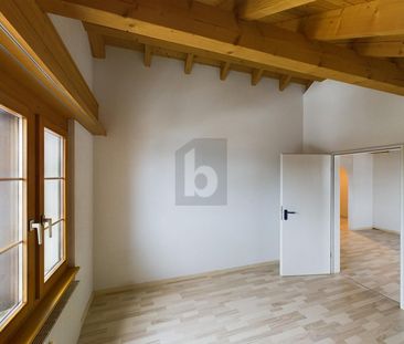 STUNNING VIEW OF THE APPENZELLER LAND - Photo 6