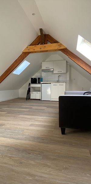 Appartement T1 - rue de kerlouano 14m2 carrez- 50m2 au sol - Photo 1