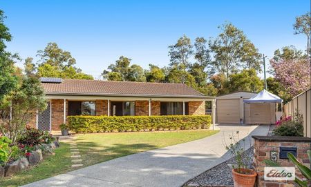 Charming 4 Bedroom Family Home on Spacious Block in Loganholme - Photo 4