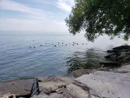 For Lease - 2663 Lake Shore Boulevard Unit# 802, Toronto, Ontario - Photo 4