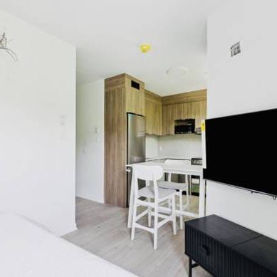 New Studios Downtown Montreal ** Brand New Construction ** - Photo 4